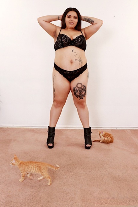 Chatte chauve brésilienne nus de haute qualité galerie