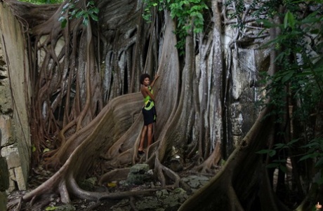 Saleté africaine meilleure jolie des photos