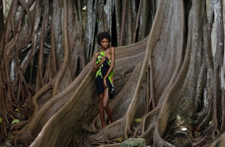 Mélodie africaine la plus belle img