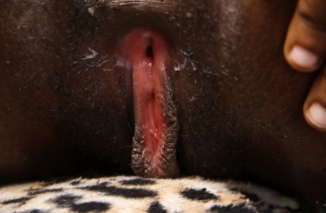 Chatte africaine à la bouche hd gratuit img