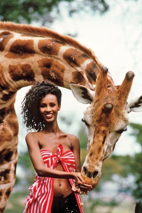 Couple trans africain assez érotique galeries