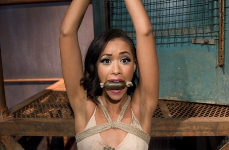 Skin Diamond star du porno exclusive archive